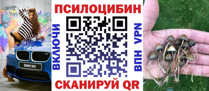 Галлюциногенные грибы мицелий  Купить где  Кувандык 